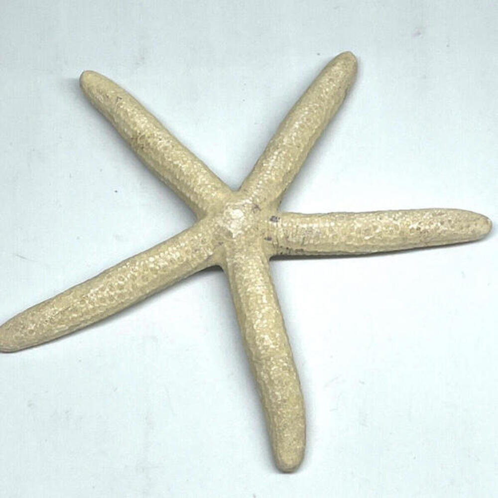 Natural Dried Starfish‎ Multicolor Nautical Decor LOT of 6 Pieces - Picture 7 of 8